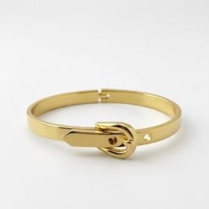 Golden Buckle Luxe Bracelet